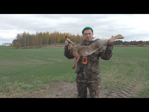 Видео: ОТКРЫТИЕ ОХОТЫ НА ЗАЙЦА !!!!!  БУЛЬБЯНАЯ КОЛБАСА С ЗАЙЧАТИНОЙ!!!!