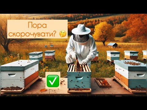 Видео: Скорочення гнізд 🐝 Перші роботи з підготовки бджіл до зимівлі. Обробка від кліща. 💊✅