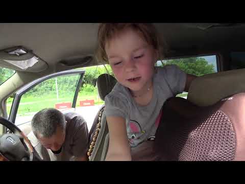 Видео: День 1 : Великое переселение началось! Мы его предали. 28.06.21.