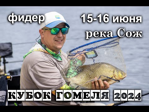 Видео: Фидер. Кубок Гомеля 2024. Река Сож