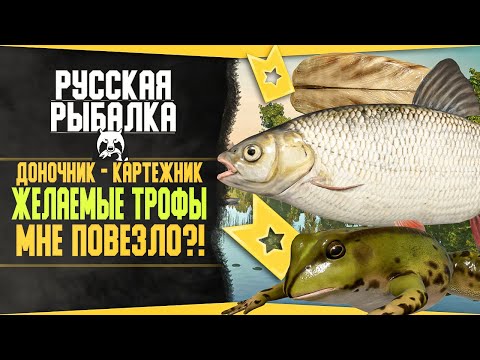 Видео: Путь доночника-картежника! в РР4 #15 💥ОХОТА НА РЕДКИХ ТРОФЕЕВ| Русская Рыбалка 4