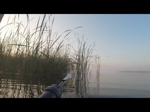 Видео: " Пока ещё спит кукушка в часах"