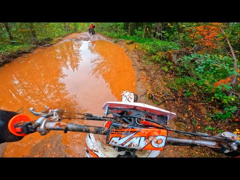 Видео: Хард Эндуро на KAYO K1!  250сс ПОЛНЫЙ ГАЗ по Болотам!