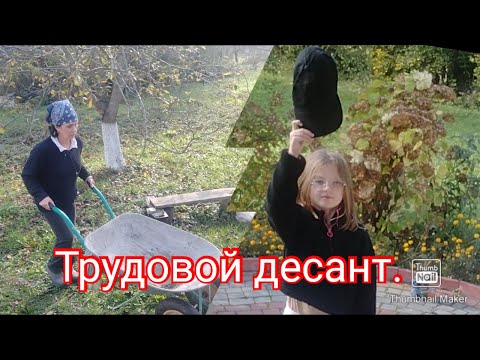 Видео: Ничего не успеваю.Трудовой десант в помощь.#дача #теплица #огород