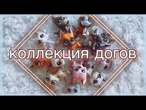 Видео: ЛПС БОЛЬШАЯ КОЛЛЕКЦИЯ ДОГОВ Kristina Aventura