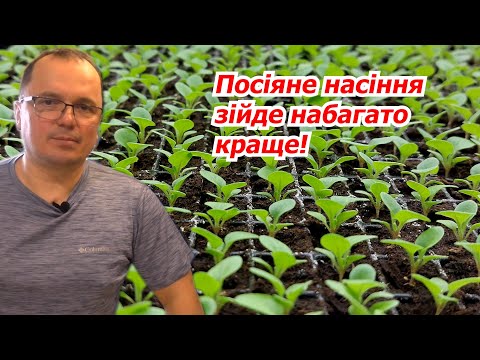 Видео: Насіння сходить «щіткою», якщо зробити саме ТАК!