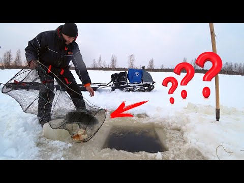 Видео: ЗАКИНУЛ МОРДУ ЗА РЫБОЙ, А ПОЙМАЛ ЭТО!!! ЧТО ЖЕ ПОЙМАЛ УСТАИЧ??? РЫБАЛКА НА ВЕРШУ