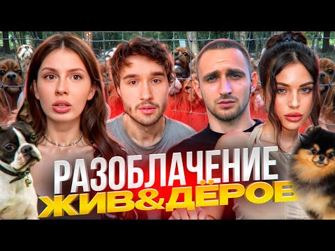 Видео: ЧТО СЛУЧИЛОСЬ С НАШИМИ ПИТОМЦАМИ? Кореш и Вишенка Про ситуацию с питомником // Ft. Адель, Литвин