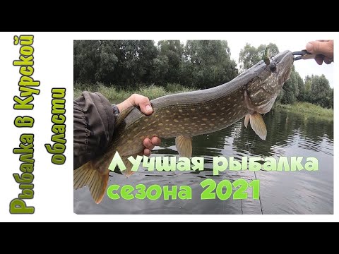 Видео: Щуки на каждом забросе. Лучшая рыбалка сезона 2021! Tsuribito Minnow 130F