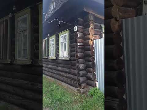 Видео: Аркуль, 3 августа 2023