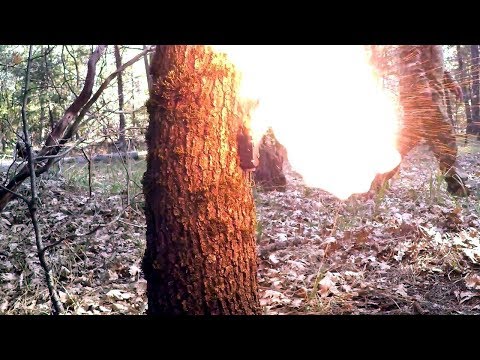 Видео: Охранная сигнализация периметра лагеря