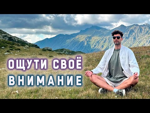 Видео: Погружение в тишину ума на прямом эфире