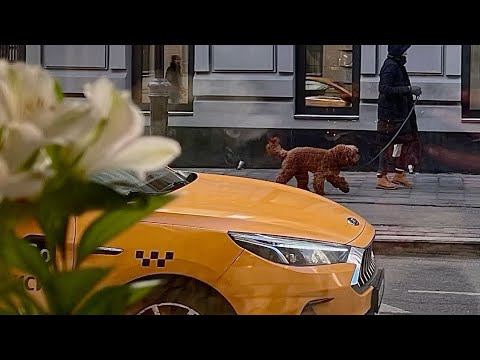 Видео: ТАКСИ МОСКВА 🚕🥵 ВОСКРЕСНОЕ УТРО     НА АРЕНДУ ОТБИЛ И ДОМОЙ ОТДЫХАТЬ 🔥 