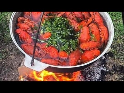 Видео: Посадка раков на 1 метр! РАЗВЕДЕНИЕ РАКОВ в маленьком пруду, сколько раков можно держать. Пруд