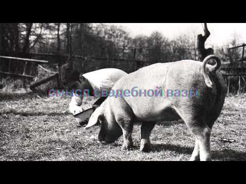 Видео: о чем была свадебная ваза?