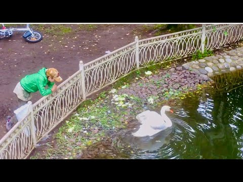Видео: 🌹2800🌹 Выставка интересных фотографий в парке#Лианозовский парк#август 2025 год