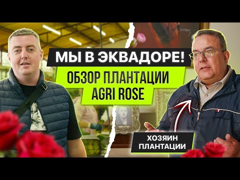 Видео: Мы в Эквадоре! Обзор плантации Agri Rose | Цветы оптом