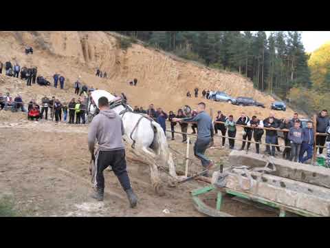Видео: Конни състезания по надтегляне - Черна Места 2024 - 4 част