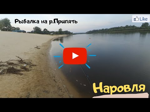 Видео: Рыбалка на Хищника |Мысли вслух| Наровля!