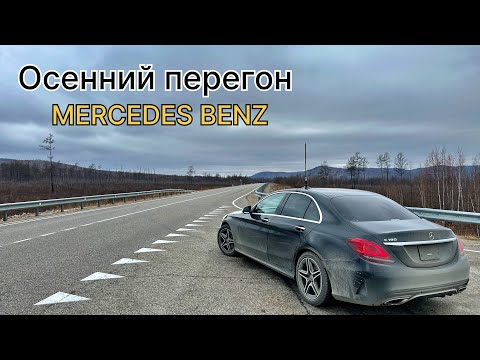 Видео: MERCEDES BENZ осенний перегон