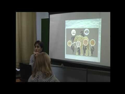 Видео: системный подход к взятию случая, ч.1