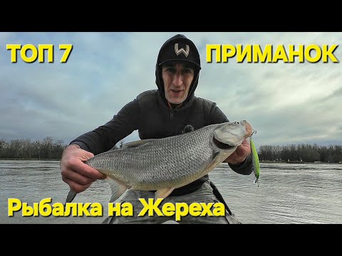 Видео: ТОП 7 приманок на осеннего жереха, ловля жереха на спиннинг! #рыбалканаспиннинг #жерех #angeln