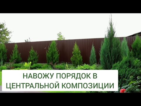 Видео: НАВОЖУ ПОРЯДОК В ЦЕНТРАЛЬНОЙ КОМПОЗИЦИИ. 1.09.2024г. БЕЛАРУСЬ, ГОМЕЛЬСКАЯ ОБЛАСТЬ