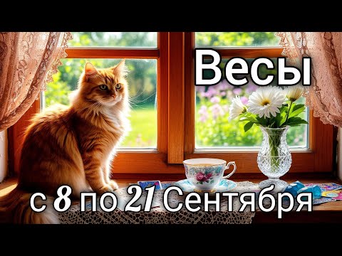 Видео: 🌼Весы! Таро прогноз с 8 по 21 Сентября!