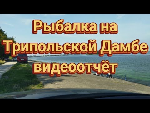 Видео: Рыбалка на Трипольской дамбе фидером. Карась, плотва. #трипілля #рыбалка #фидер #дамба #карась