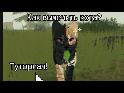 Видео: Как вылечить кота? Туториал тут! #warriorcats  #врек   #рек  #роблокс