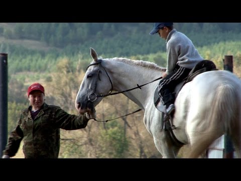 Видео: "Граф" Николай Скоков новошешминский