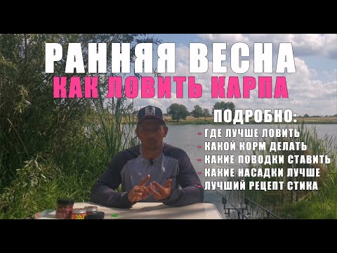 Видео: КАК ЛОВИТЬ КАРПА РАННЕЙ ВЕСНОЙ? Практические советы