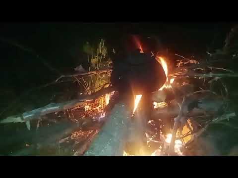 Видео: РЫБАЛКА В КАРЕЛИИ / СПИННИНГ И САМОЛОВКИ