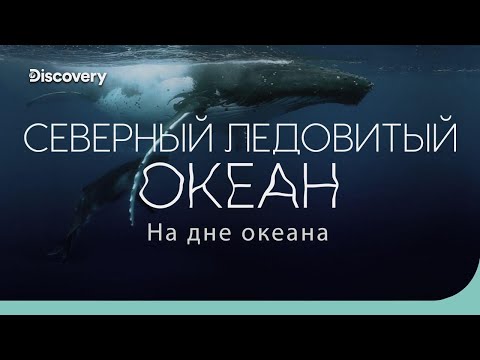 Видео: Северный Ледовитый океан: полярная бездна | На дне океана | Discovery