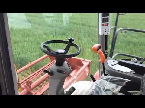 Видео: ДОН 680м косит ячмень коровам