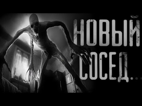 Видео: НОВЫЙ СОСЕД | СТРАШИЛКИ НА НОЧЬ | СТРАШНЫЕ ИСТОРИИ