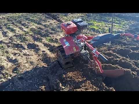 Видео: вспашка огорода мотоблоком асилак 84