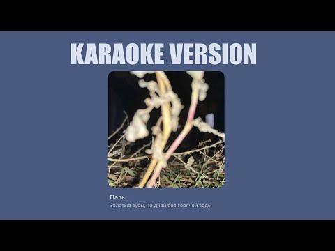 Видео: Золотые зубы - Паль (караоке-версия)