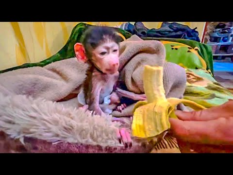 Видео: ВОТ ТАК Люся спит и просыпается!