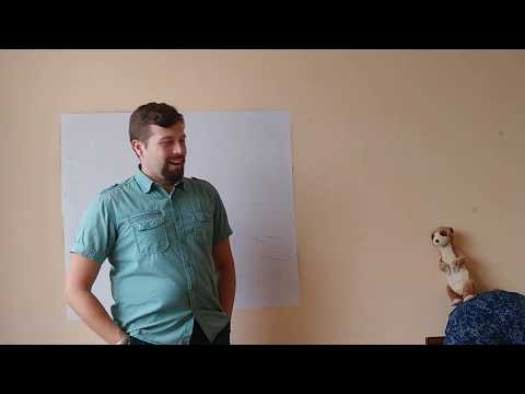 Видео: (9кл) Инфразвук и ултразвук