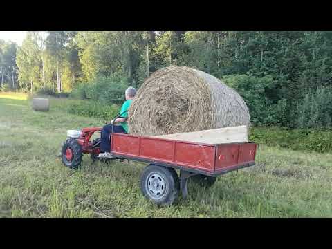 Видео: Возим рулоны сена на мотоблоке МТЗ-09Н.