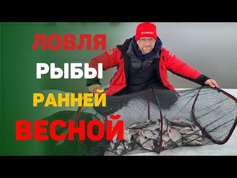 Видео: ловля ранней весной