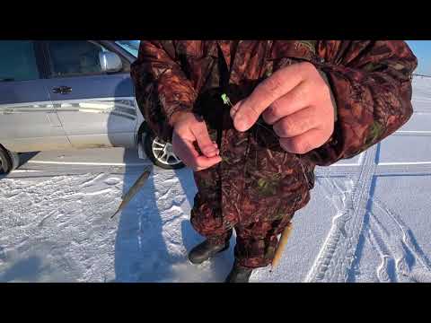 Видео: МАГАДАН БУХТА ГЕРТНЕРА ЗИМНЯЯ РЫБАЛКА 01 02 2020