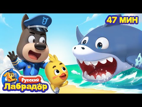Видео: 🦈Нападение большущей акулы! | 🚢Безопасность на пляже | 🔍Сборник мультиков для детей | Шериф Лабрадор