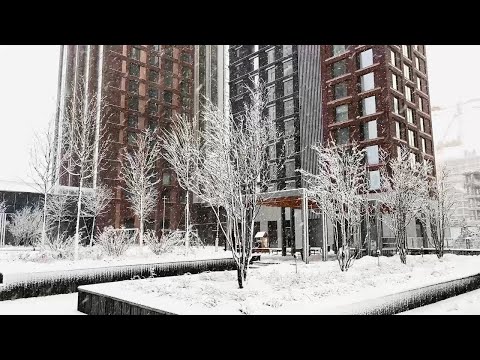 Видео: Строительство ЖК City Bay, 31 декабря 2024