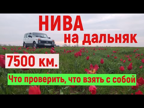 Видео: "Нива" на дальняк. 7500 км. Что проверить, что взять с собой в дорогу.