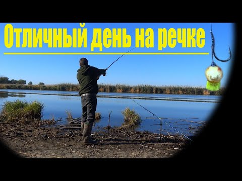 Видео: Рыбалка на Днестре. Классная погодка и хороший отдых, рыбачим вместе с @-2780Maks