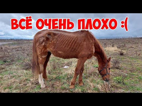 Видео: Грим: история болезни, очень тяжёлое состояние