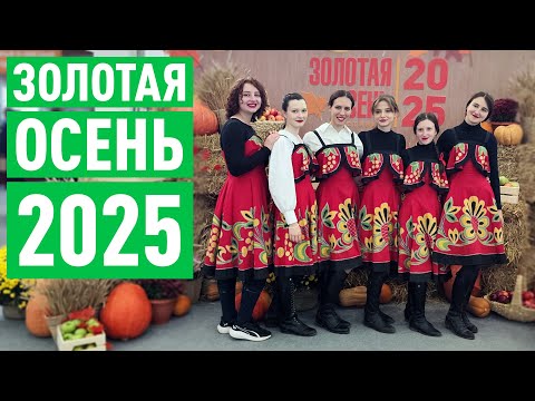 Видео: Золотая осень - 2025. Найдем ли что-то интересное?
