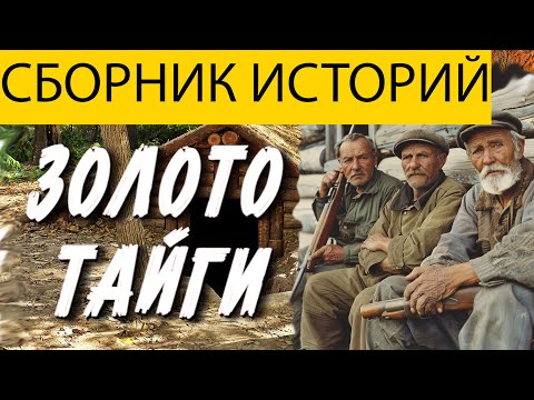 Видео: ВОТ ЛУЧШАЯ ТАЁЖНАЯ ЖУТКАЯ ИСТОРИЯ, ЧТО ПОТРЯСЕТ ВАС ДО ГЛУБИНЫ ДУШИ, ужасы, мистика.